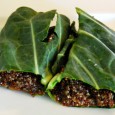Anatomy of a Wrap I was wondering how to fix a healthy burrito that would satisfy my tastes as well as those of my vegan friends. “It would even be better”, I told my...