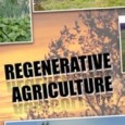 ABOUT THE FILM:Many advanced civilizations vanished because they did not take care of their soil. This film is about a new, progressive, and advanced practice of agriculture, that will regenerate...