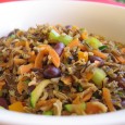 Meatless Mondays: Fried Wild Rice Hi! Here’s another Meatless Monday recipe to tantalize your taste buds and get you cooking this cruelty-free meal in your kitchen. This week’s Meatless Monday recipe is contributed by our...