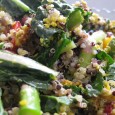 Here’s another Meatless Monday recipe to tantalize your taste buds and get you cooking this cruelty-free meal in your kitchen. This week’s Meatless Monday recipe is contributed by our friend,...