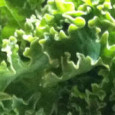 Does the world need another massaged kale salad recipe? Without a doubt! One can’t have enough kale. Even my kids have fallen under its spell. They love Brendan Brazier’s sour...