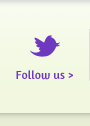follow us