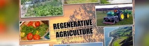 regenerative agriculture