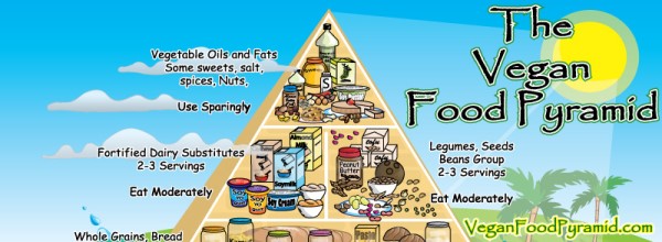 Overweight Vegetarian Weight Loss