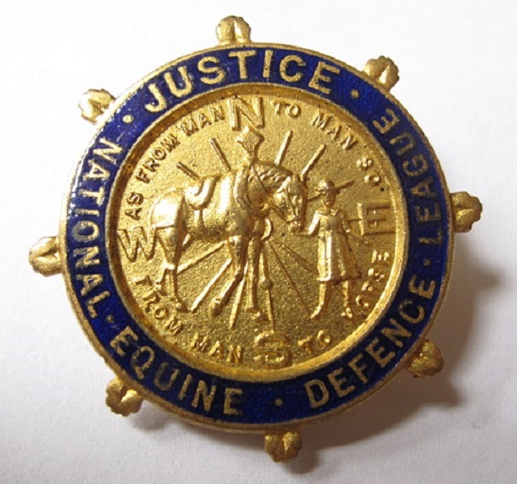 Horse-Equine-Badge