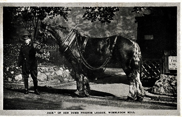 Horse-jack-of-our-dumb-friend-league_0001