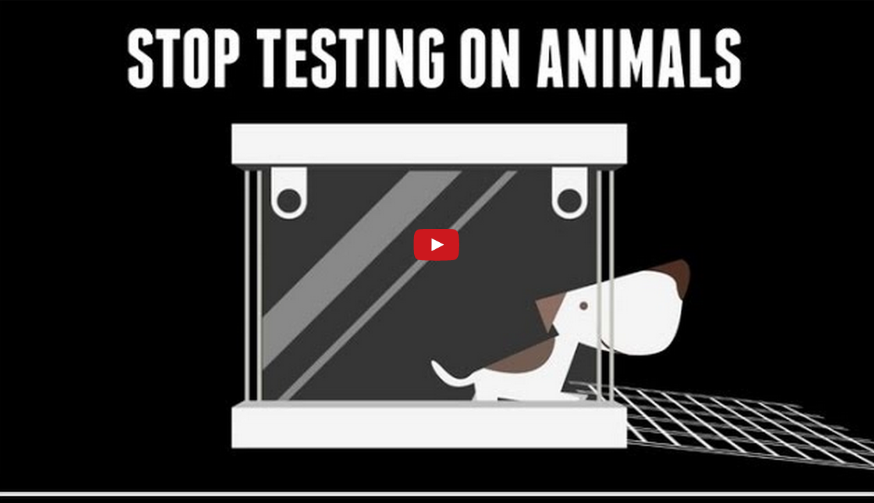 Tail of Toxics - Improving Chemical Safety Without Animals