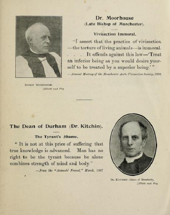 viewsofmenwomeno00brit_0013