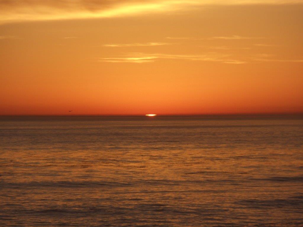 vegan santa cruz monterey california