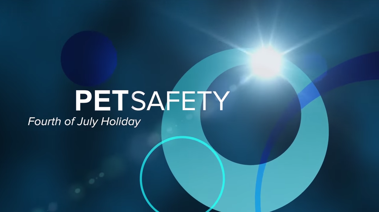 Pet Safety For The Fourth Of July