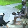 Adorable Dog Determined To Play Fetch With Statue!