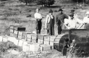 blueberry health benefits superfood