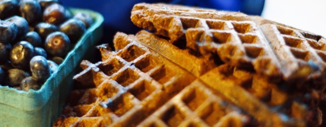 blueberry chocolate waffles vegan