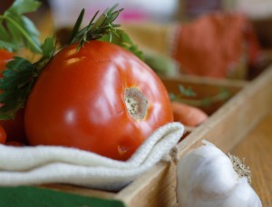 vegan tomato garlic soup