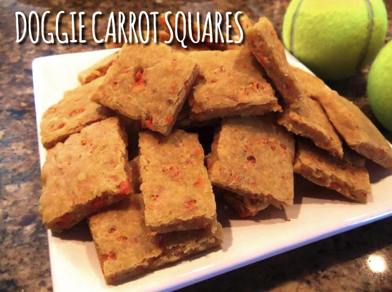 Doggie Carrot Squares