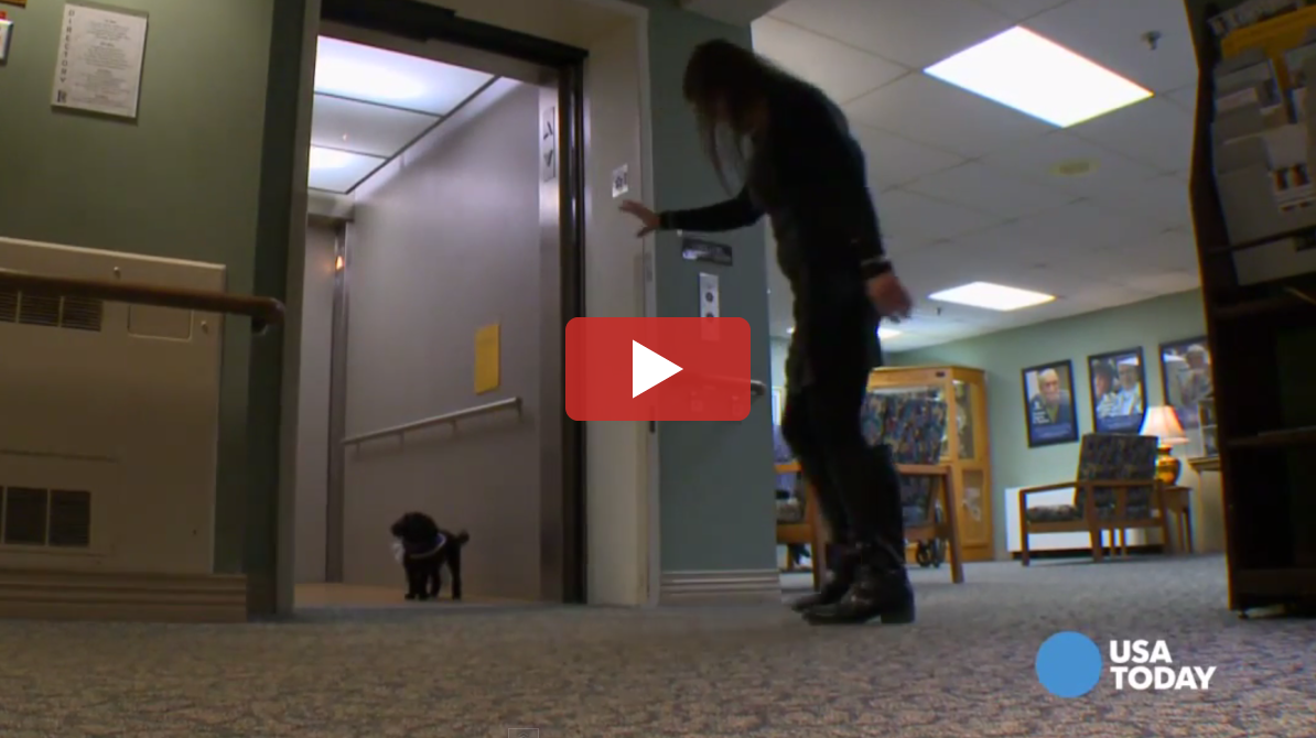 Nala Rides The Elevator To Visit Friends