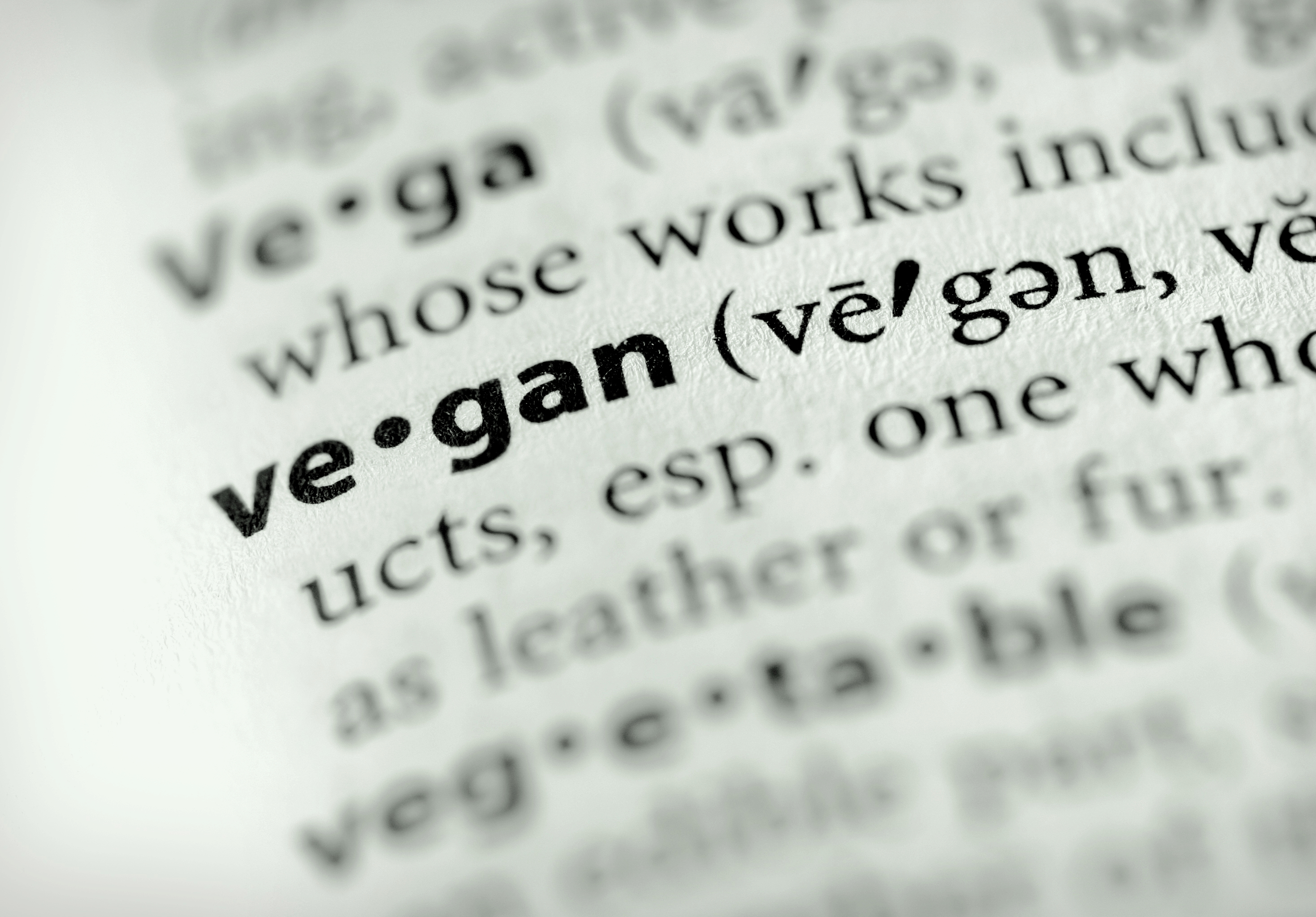 Vegan Without Being Vegetarian? - The Veggie Blog