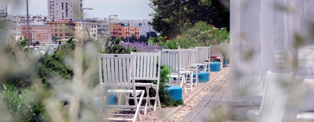 Art Of Raw At The Garden Zadar