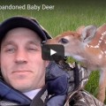 Man Saves Abandoned Baby Deer