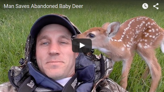 Man Saves Abandoned Baby Deer