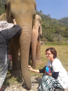 Vegan Eco Travel And Tourism In Thailand