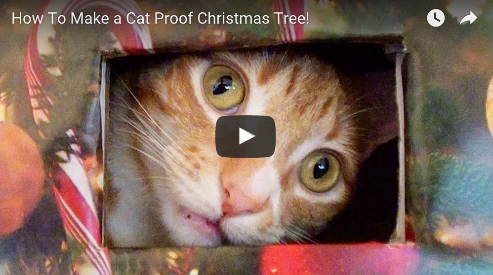 How To Make A Cat Proof Christmas Tree