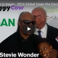 WATCH: Vegan Stevie Wonder Interviewed At The 13th Annual Global Green Pre Oscar Party