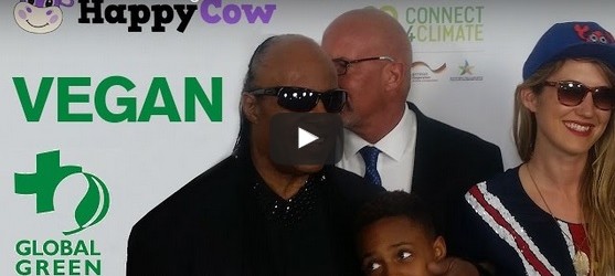 WATCH: Vegan Stevie Wonder Interviewed At The 13th Annual Global Green Pre Oscar Party