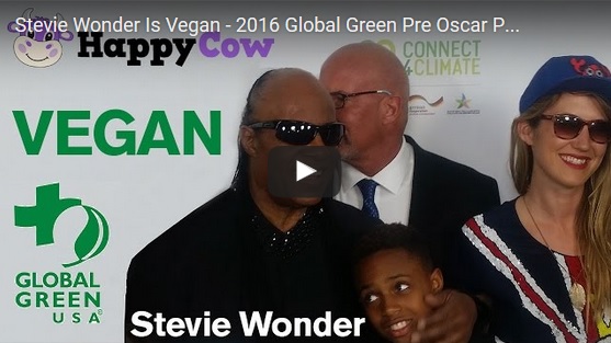 WATCH: Vegan Stevie Wonder Interviewed At The 13th Annual Global Green Pre Oscar Party
