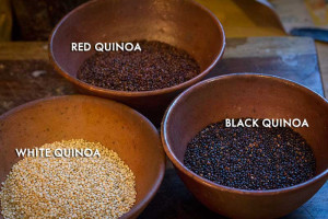 Photo quinoa three types
