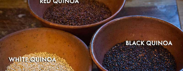 Photo quinoa three types