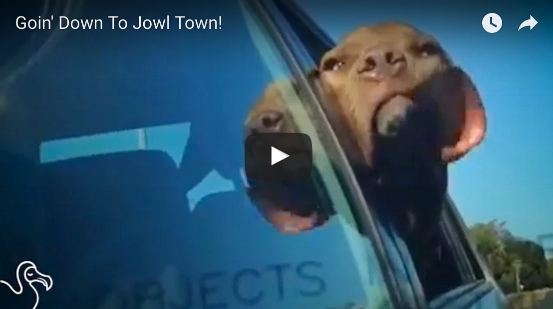 Goin' Down To Jowl Town!