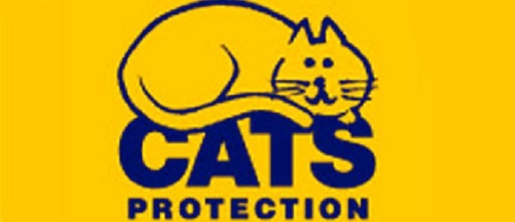 cats-protection-20130729091306359