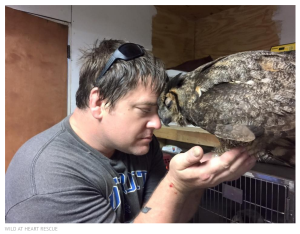 Owl Hugs Man Who Saved Her
