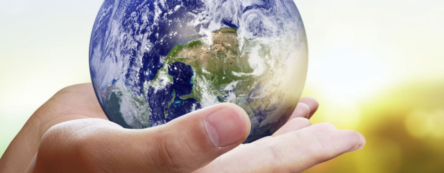 Why Every Vegan Is A Hero!