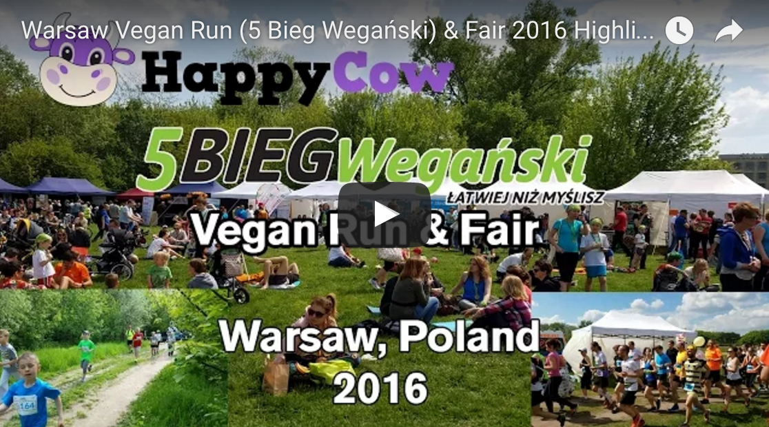 Warsaw Vegan Run And Fair 2016 Highlight Footage