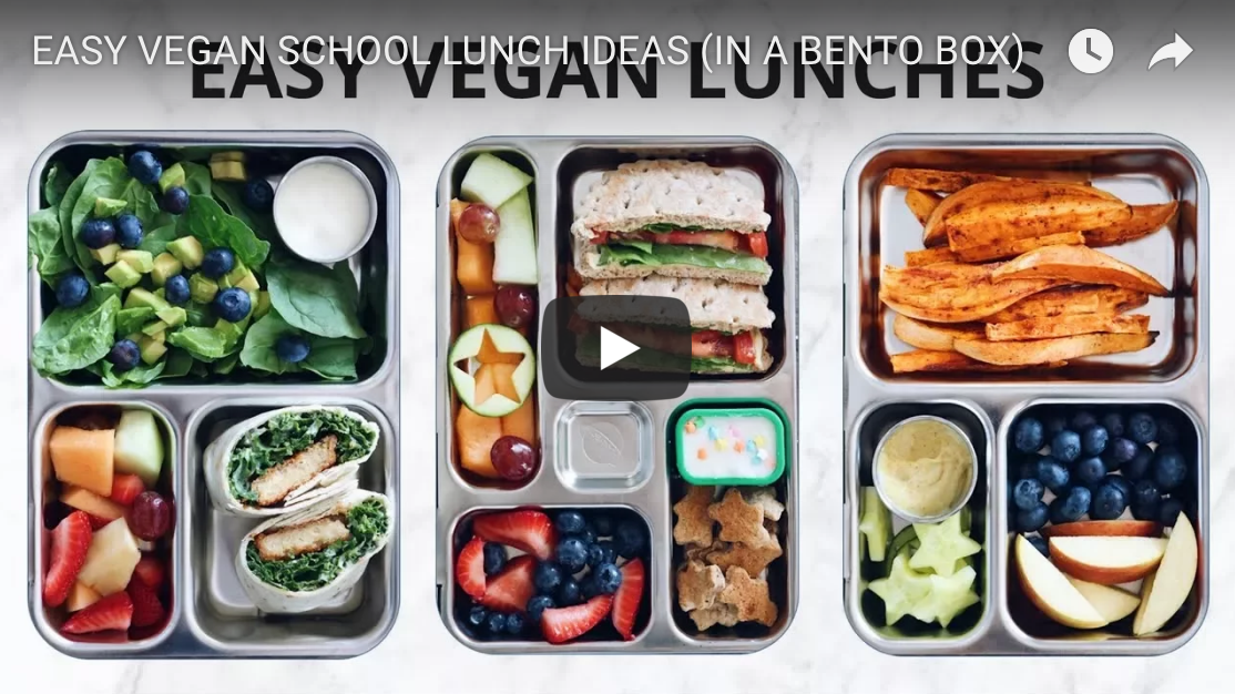 Easy Bento Box Lunch Ideas for Kids – Pescatarian & Vegetarian 