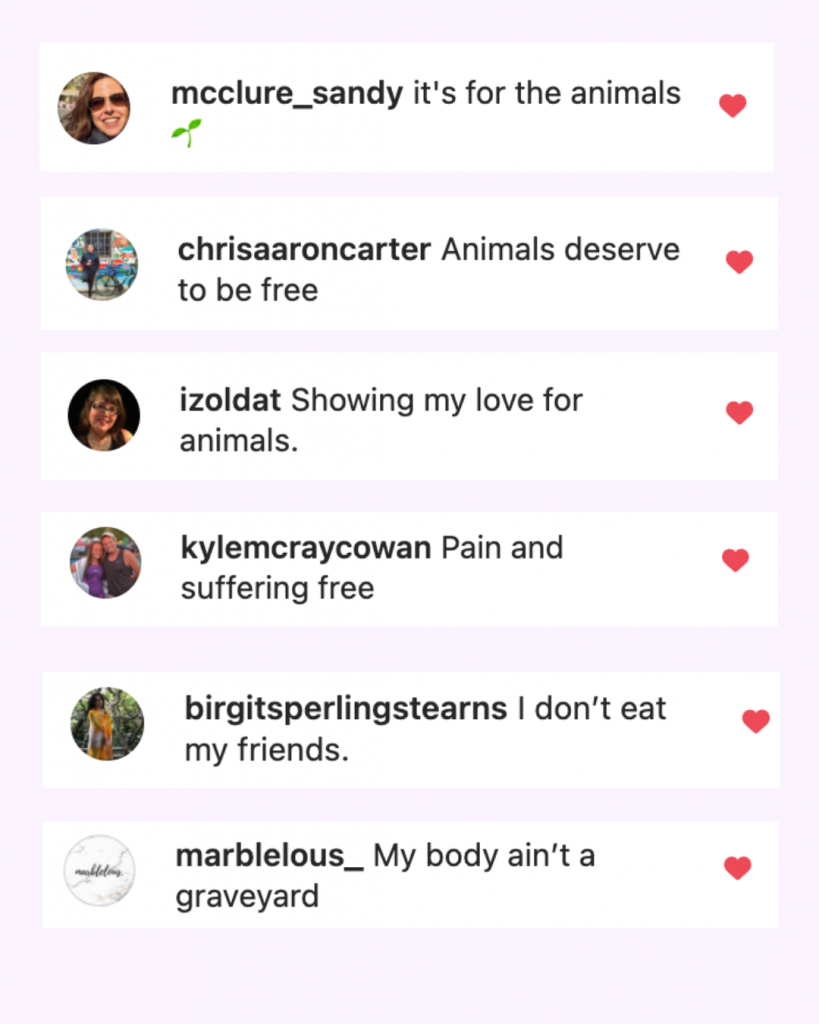 Vegan for the animals