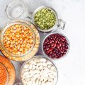 Vegan Protein Sources