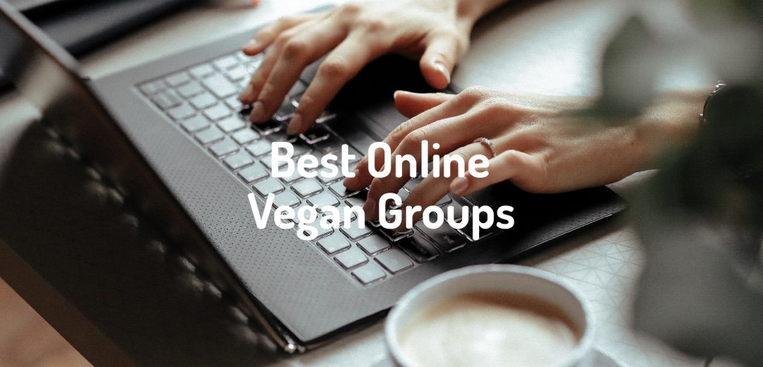 Best Online Vegan Groups