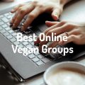Best Online Vegan Groups
