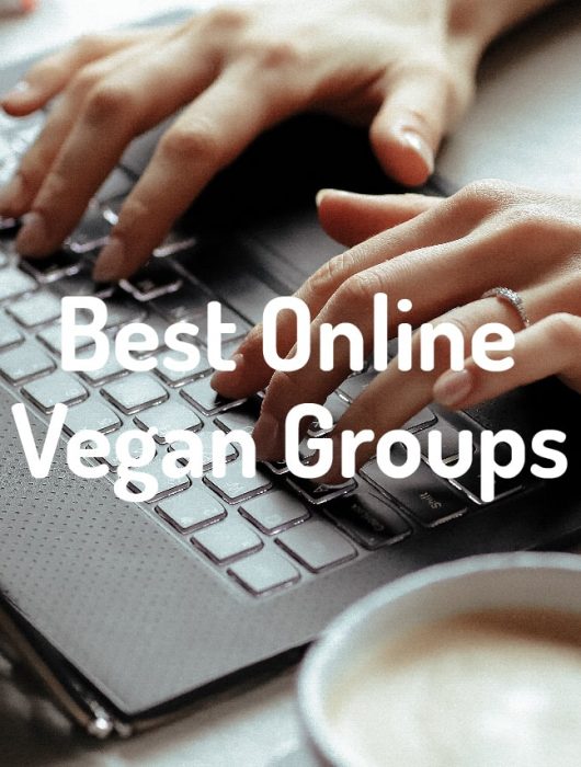 Best Online Vegan Groups