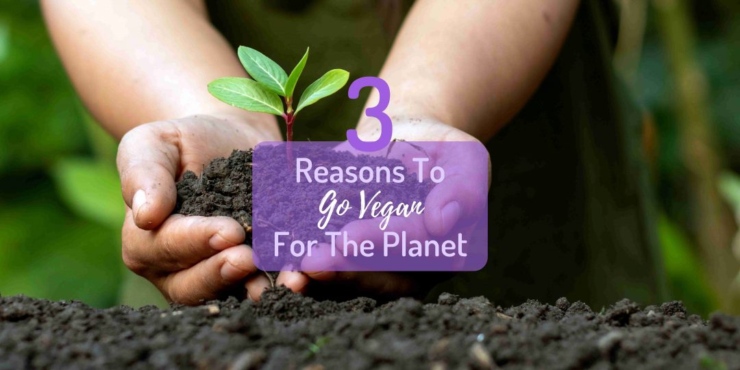 Earth Month - Reasons To Go Vegan For The Planet