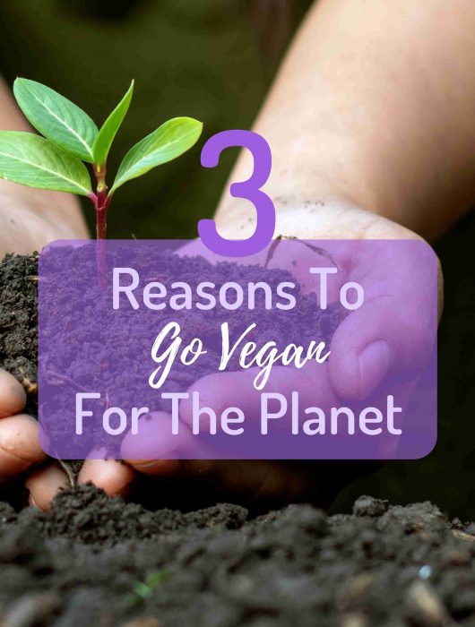 Earth Month - Reasons To Go Vegan For The Planet