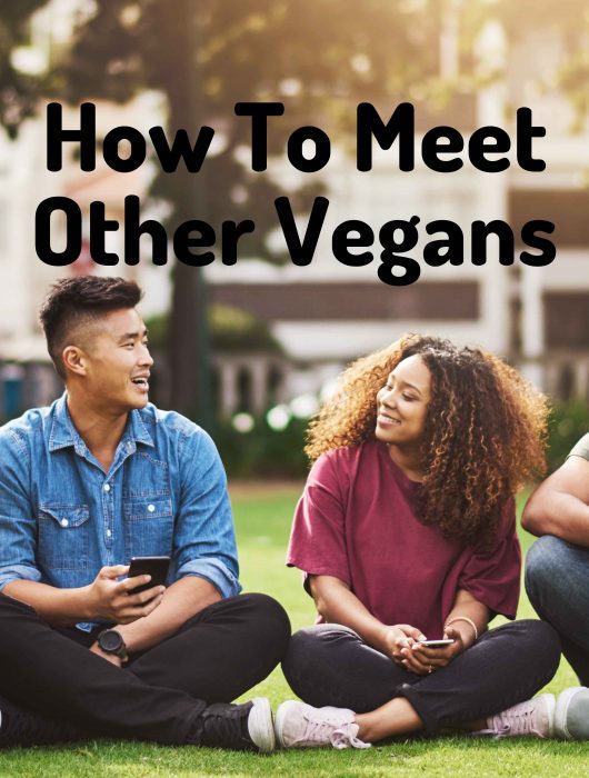 How to meet vegan friends near me