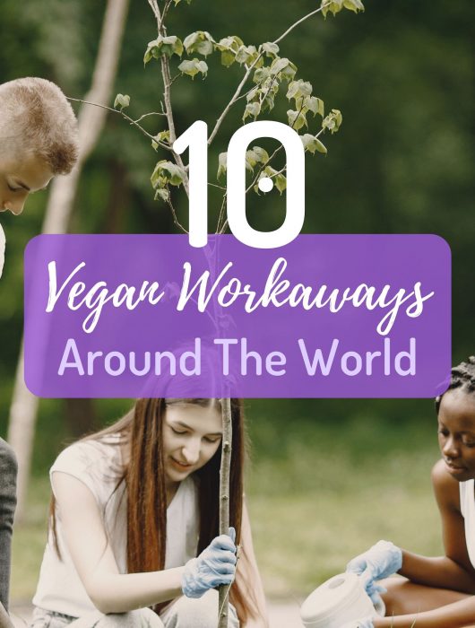 vegan workaways