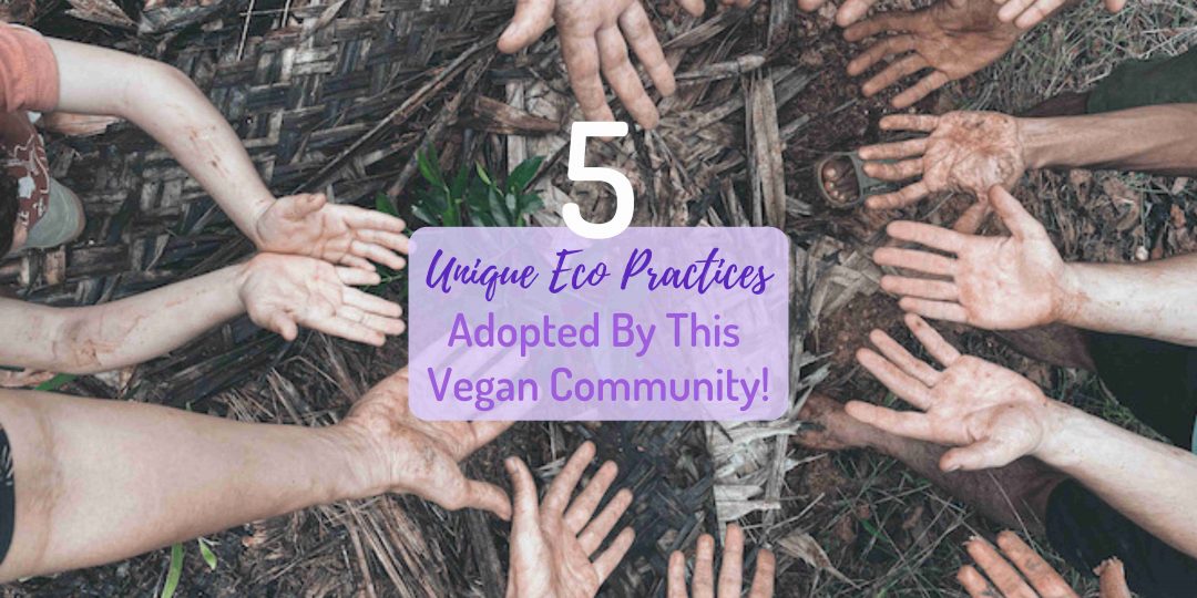 Eco practices adopted by Sadhana Forest