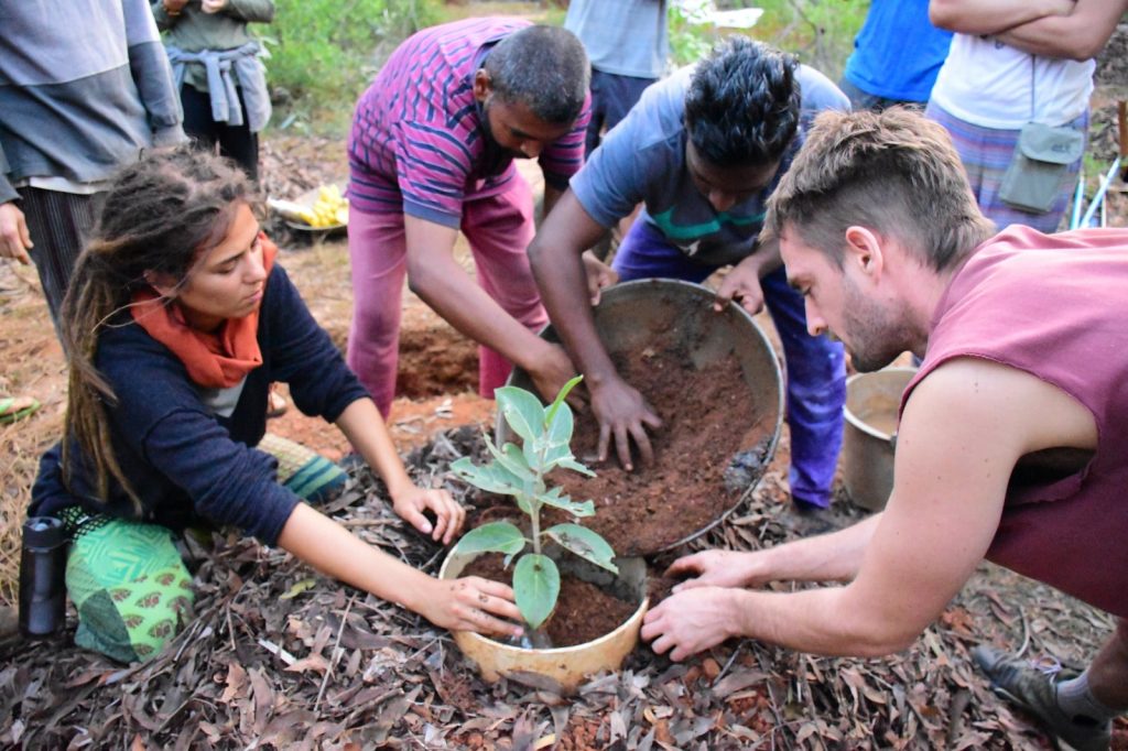 Volunteers planting trees in Sadhana Forest