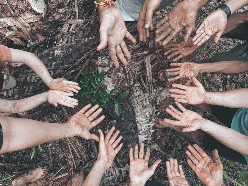 Sadhana Forest, a vegan reforestation volunteer organization.