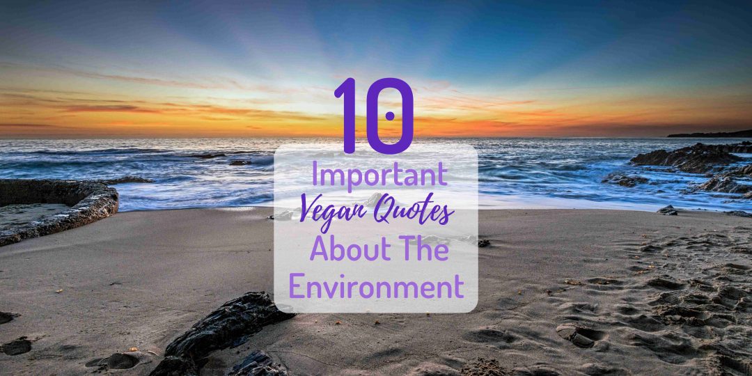 Vegan Quotes about the Environment - Earth Month